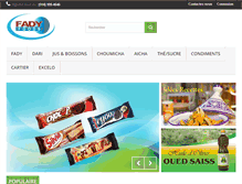 Tablet Screenshot of fadyimportexport.com